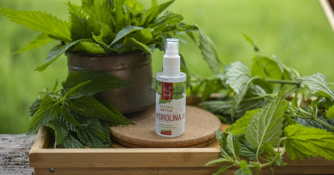 Savvaļas nātre Urtica dioica un Savvaļas nātru ūdens Hydrolina