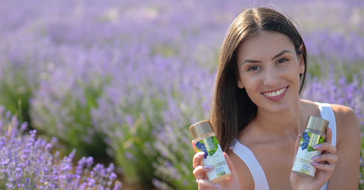 Lavanda Lavandula angustifolia un Hydrobiotic Lavanda un Piparmētra lavandas laukā