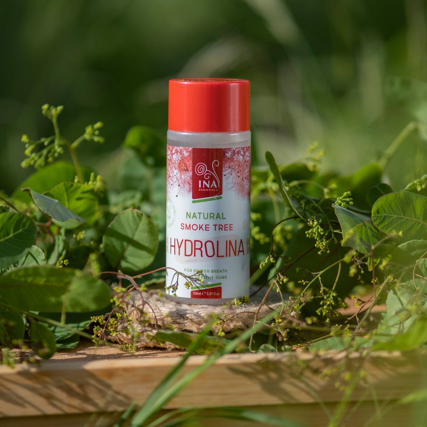 + Dāvana Dūmu koka (Sumac) ūdens - Hydrolina mutes Dobuma higiēnai un Smaganu kopšanai