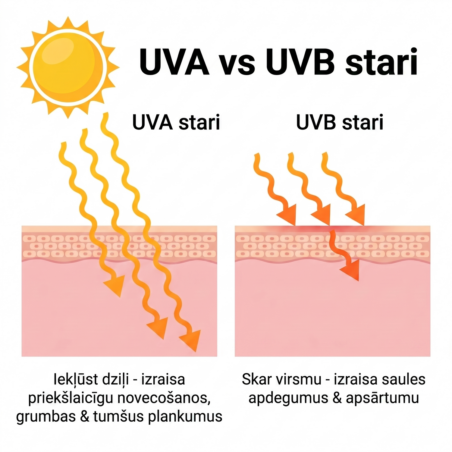 spf LV infographic